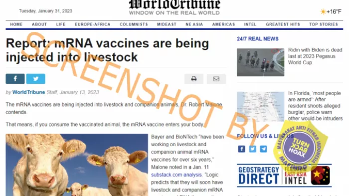 [SALAH] Seseorang Bisa Mendapatkan Vaksin mRNA Dengan Memakan Daging Hewan Ternak yang Sudah Tervaksinasi mRNA